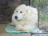 ڂɎアA悭QĂ񂾂B˂ށ[B