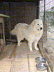 u炵A낤ƁvB