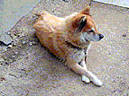 ȁ[ɁAl̂ƌĂ񂾂 ?