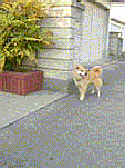 lAU߂ĂƂȂ񂾂B