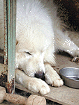́AȂ[BAB