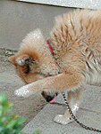ڂ䂢ȂBybB