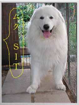 uNA@rhsIIv