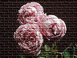 Ḱu`[YEj[E}bLgbVv̕ǎp̉Hʐ^łB}EXł̎ʐ^NbNƁuʃEBhEł̊gʐ^vɂȂ܂B