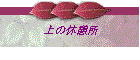 ̋xe