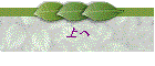 上へ