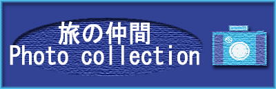̒ Photo cllection 
