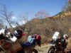 PB040022.JPG (97575 oCg)