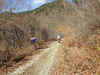 PB040023.JPG (128916 oCg)