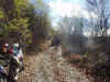 PB040028.JPG (118907 oCg)