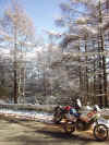 PB040030.JPG (115327 oCg)