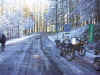 PB040033.JPG (96232 oCg)