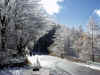 PB040035.JPG (103352 oCg)