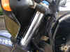 PA260097.JPG (10594 oCg)