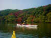 dsc00008.jpg (72137 oCg)