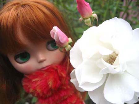 b-photo-b