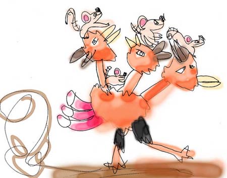 c-dodrio3