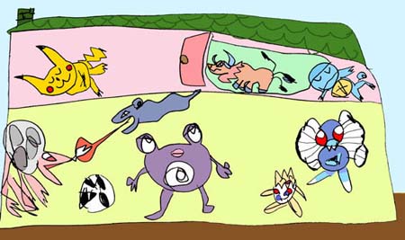 c-pokemon-house
