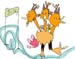 c-dodrio2