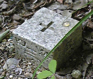 富士見台 四等三角点 その 3