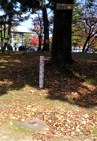 興福院 三等三角点 2