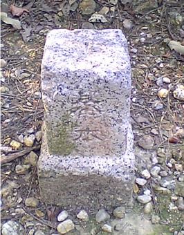植田山 図根点 2