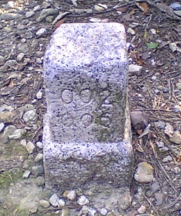 植田山 図根点 3