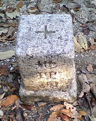 裏山 四等三角点 4
