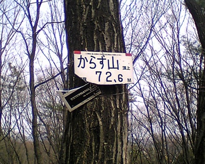 からす山 山頂