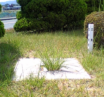 栄町 四等三角点 その 1