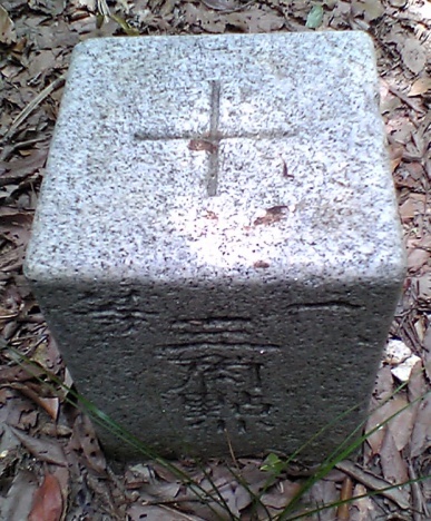 高根山 一等三角点 その 2