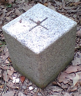 高根山 一等三角点 その 3