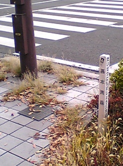 天満 四等三角点 その 1