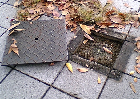 天満 四等三角点 その 2