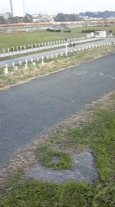 二子橋 四等三角点 その 2