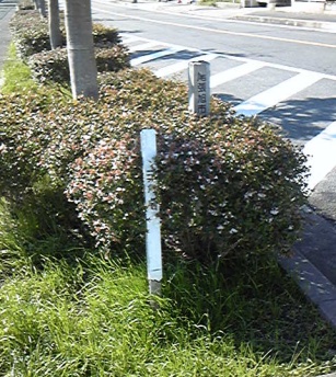 井田 四等三角点 その 2