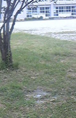 大部田村 三等三角点 その 1