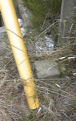 塩浜村 三等三角点 その 1