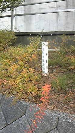 潮見 四等三角点 その 1