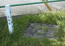 東名西 四等三角点 その 1
