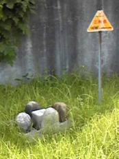 横根村 二等三角点 その 1