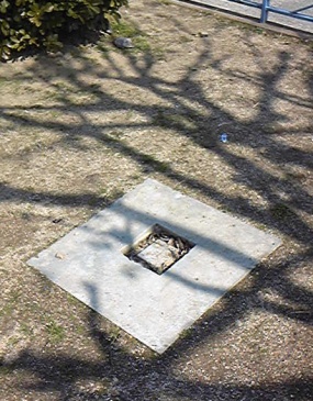 南の口公園 四等三角点 その 1