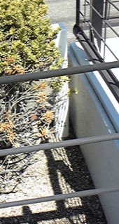 宮川用水 四等三角点 その 2
