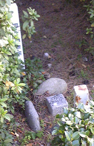 中八町池上 四等三角点 その 2