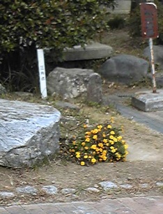 根川小 四等三角点