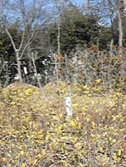 垂水区役所 四等三角点 その 1