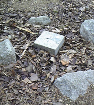 豊橋村 二等三角点 その 3