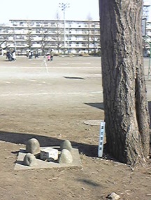 横根 三等三角点