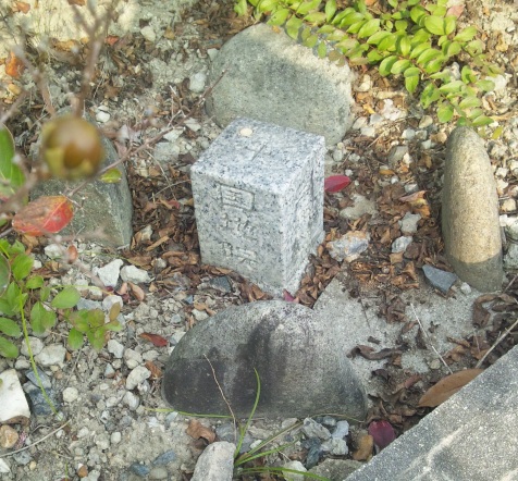 浅山 四等三角点 その 3