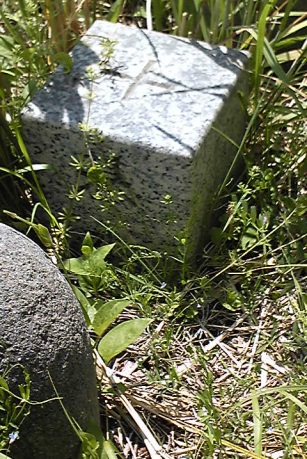 極楽寺 三等三角点 その 3